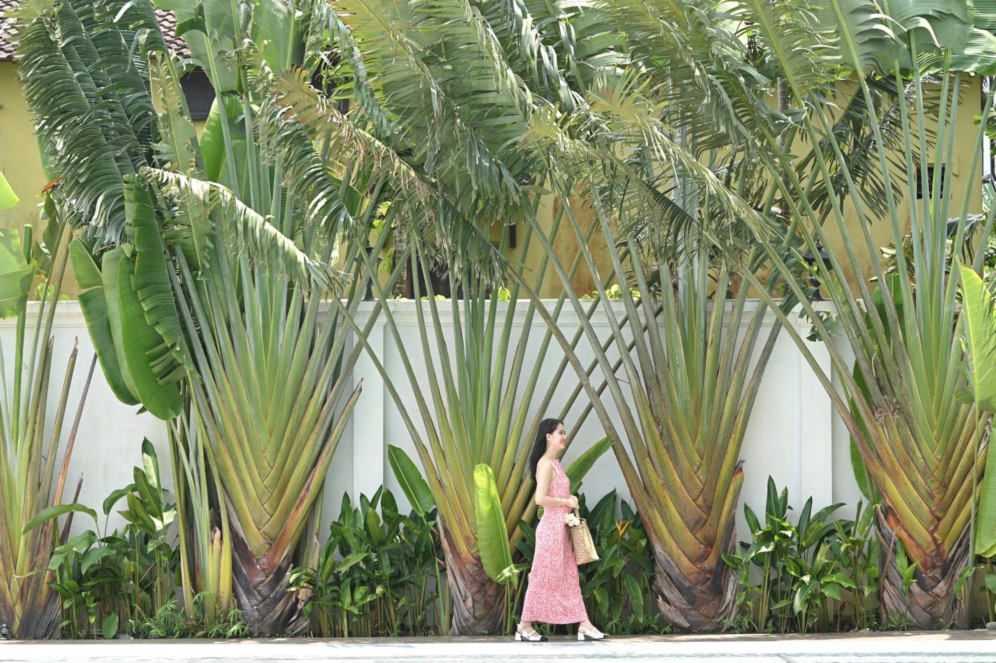 Shining Riverside Hoi An Boutique & Spa Экстерьер фото